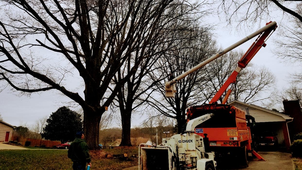 Sweet’s Tree Service LLC Image