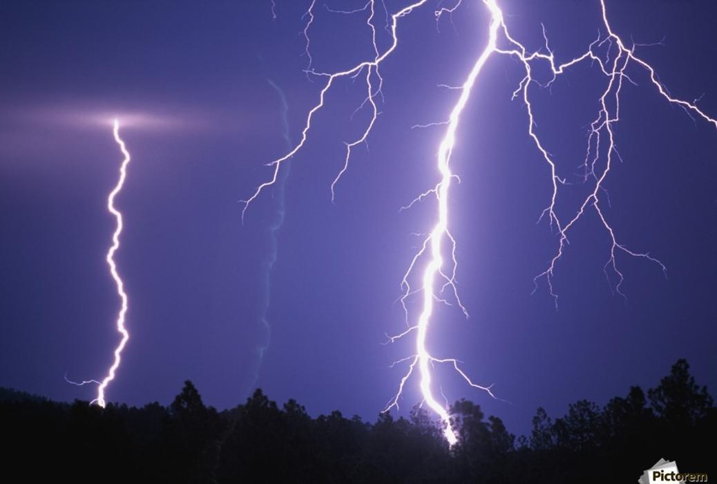 Sweet’s Tree Service LLC Image