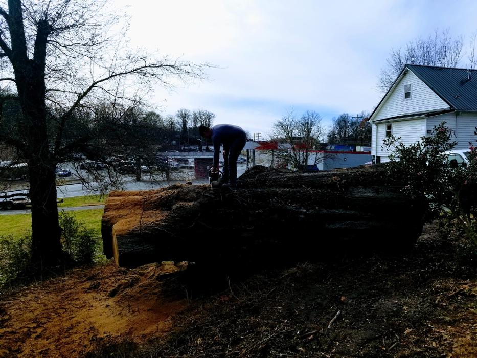 Sweet’s Tree Service LLC Image