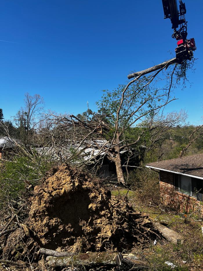 Sweet’s Tree Service LLC Image