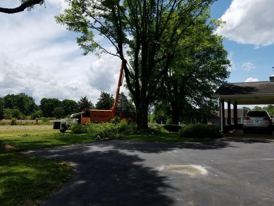 Sweet’s Tree Service LLC Image