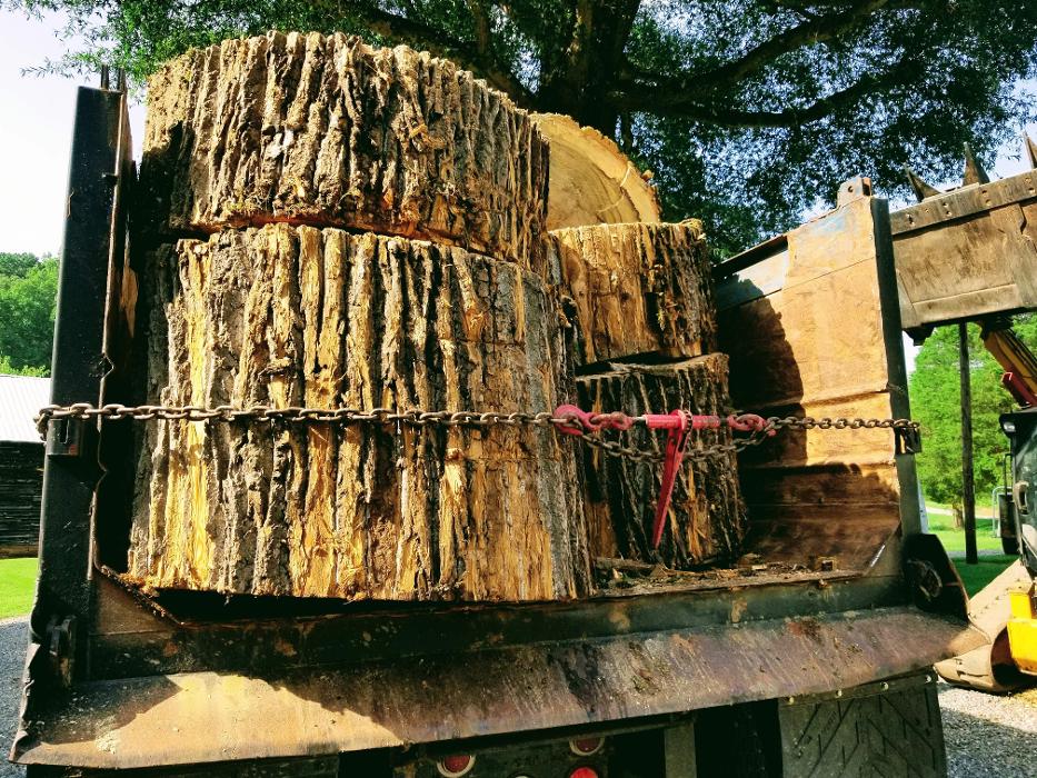 Sweet’s Tree Service LLC Image