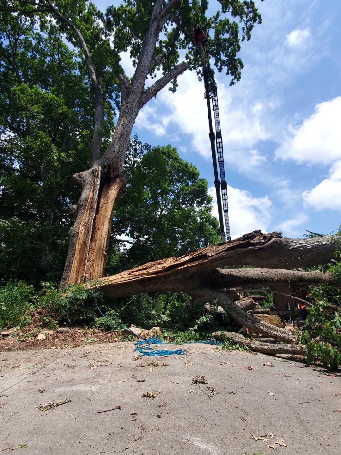 Sweet’s Tree Service LLC Image