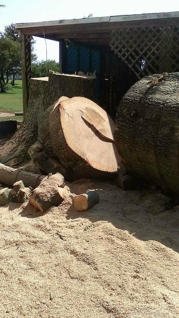 Sweet’s Tree Service LLC Image