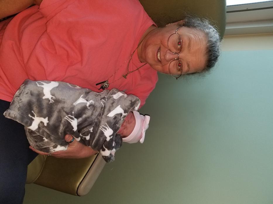 Sweet’s Tree Service LLC Image