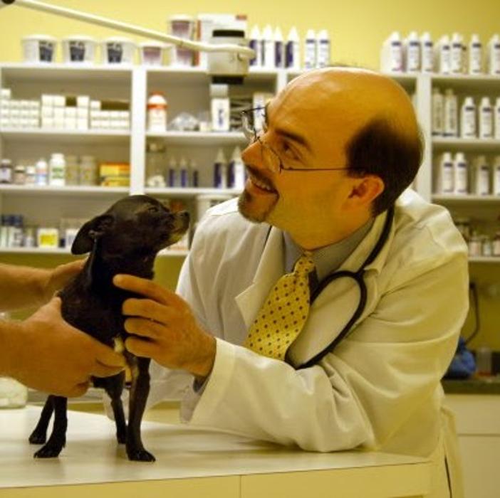 Cross Creek Animal Medical Centre
