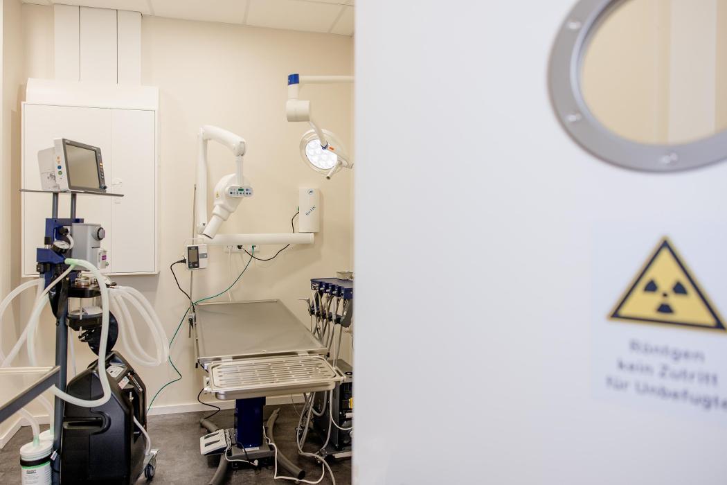 Rex Tierarztpraxis München-Poccistraße, Lindwurmstraße in München