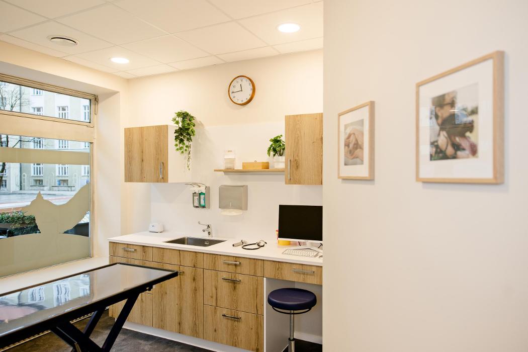 Rex Tierarztpraxis München-Poccistraße, Lindwurmstraße in München