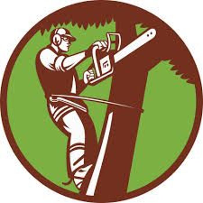 Anjoe Tree Service Logo
