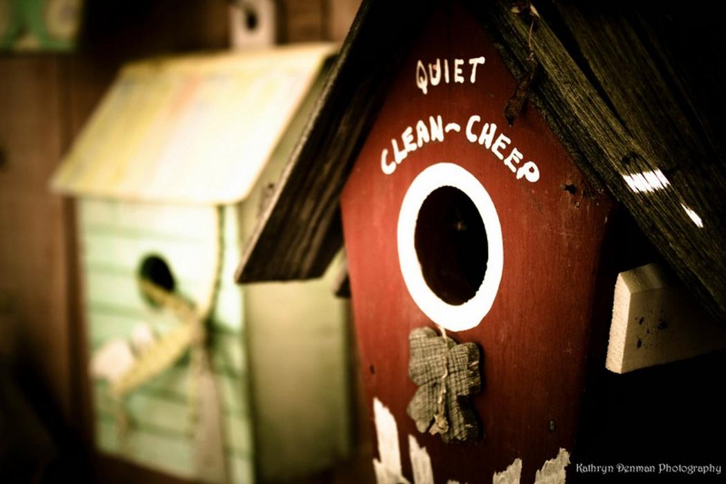 Hire a Cleaning Image