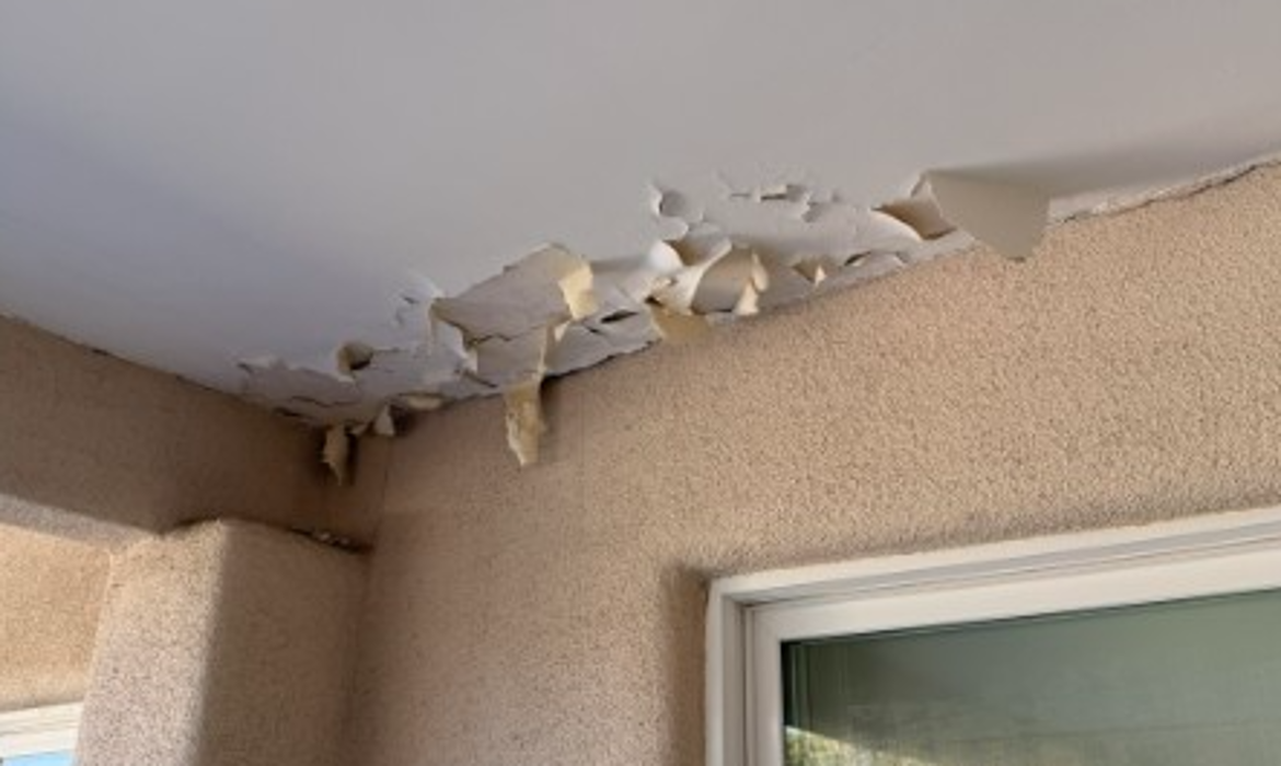 Interior and exterior paint