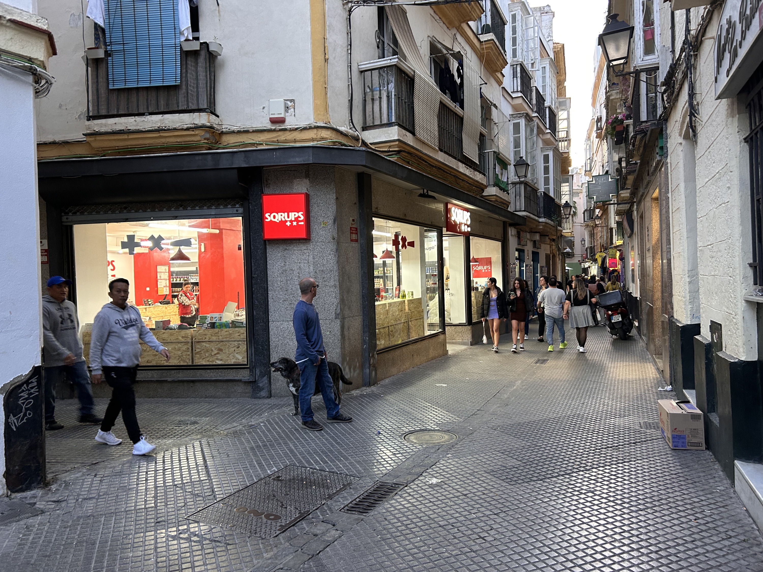 Galería en miniatura