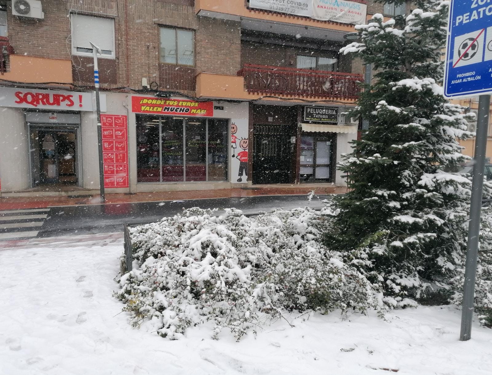 Galería en miniatura