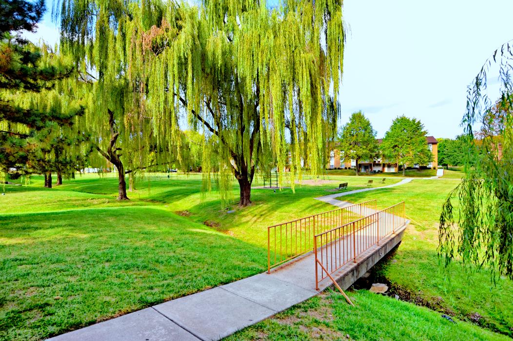 Belmont Park Apartments