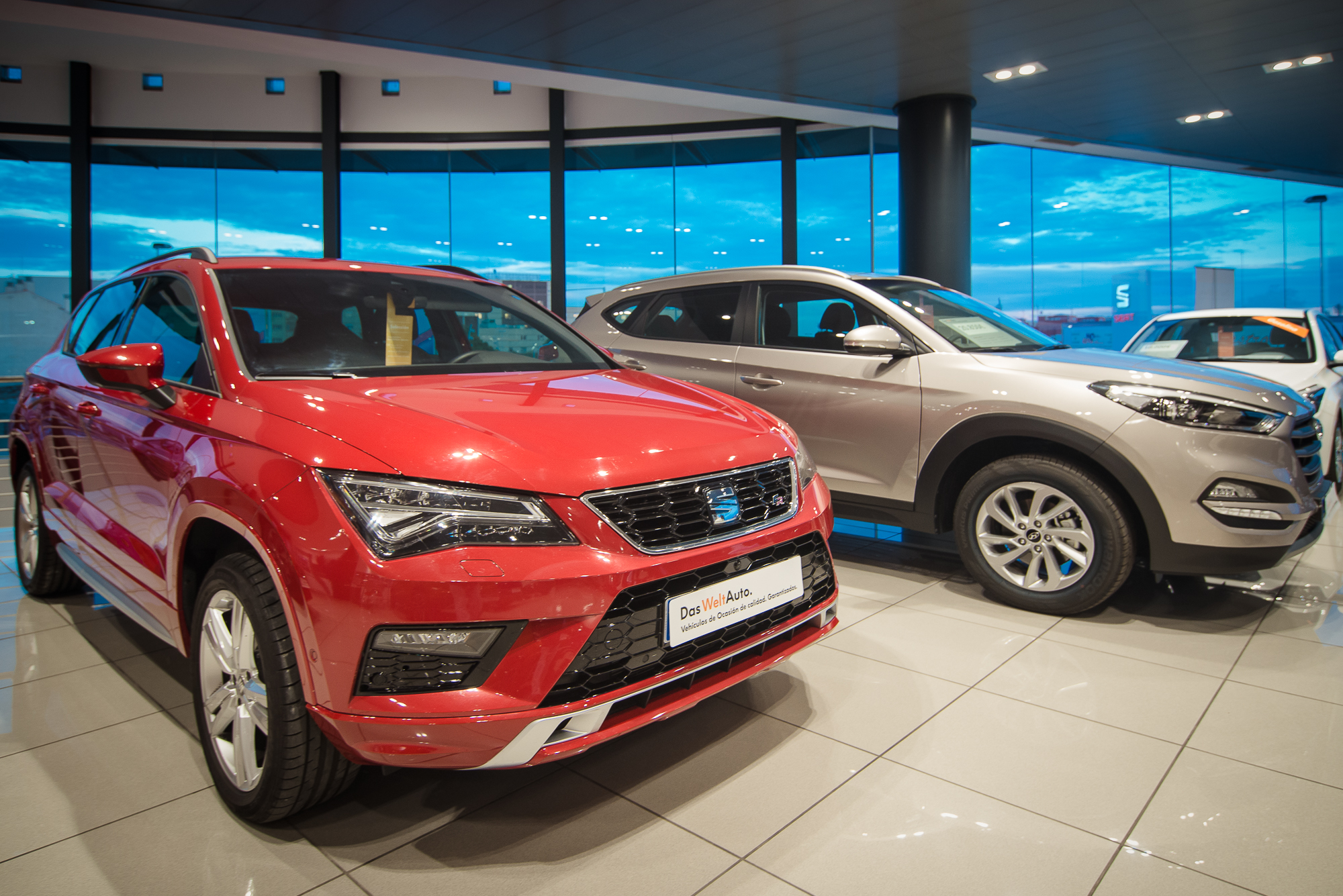 Galería en miniatura