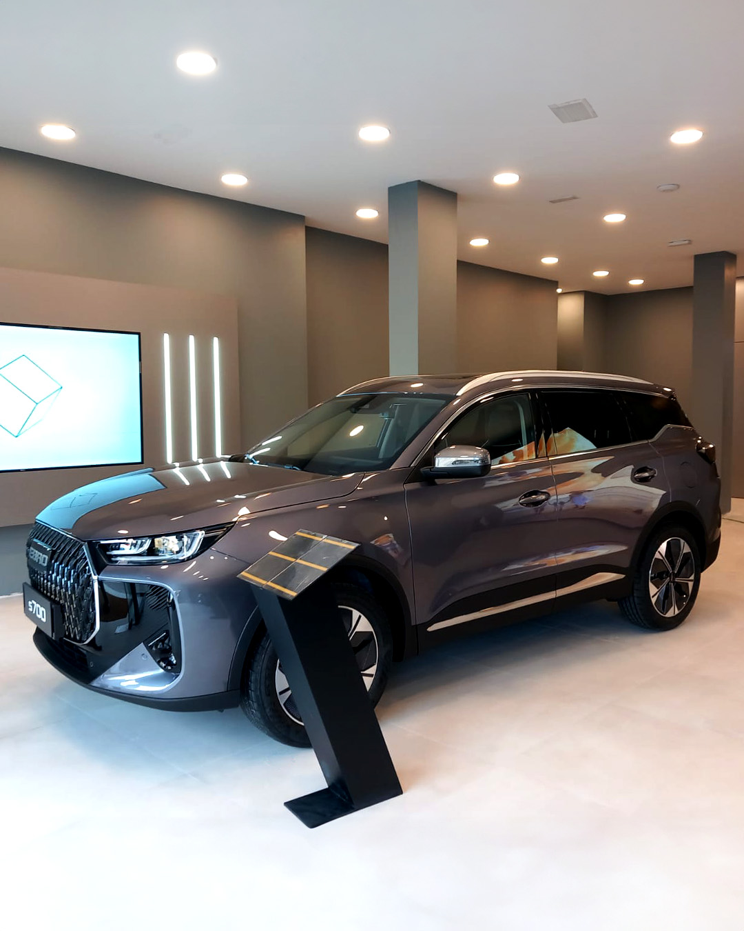 Galería en miniatura