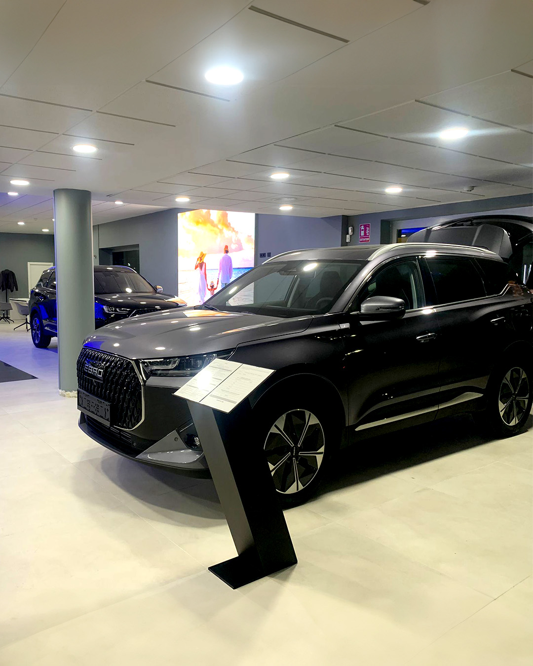 Galería en miniatura