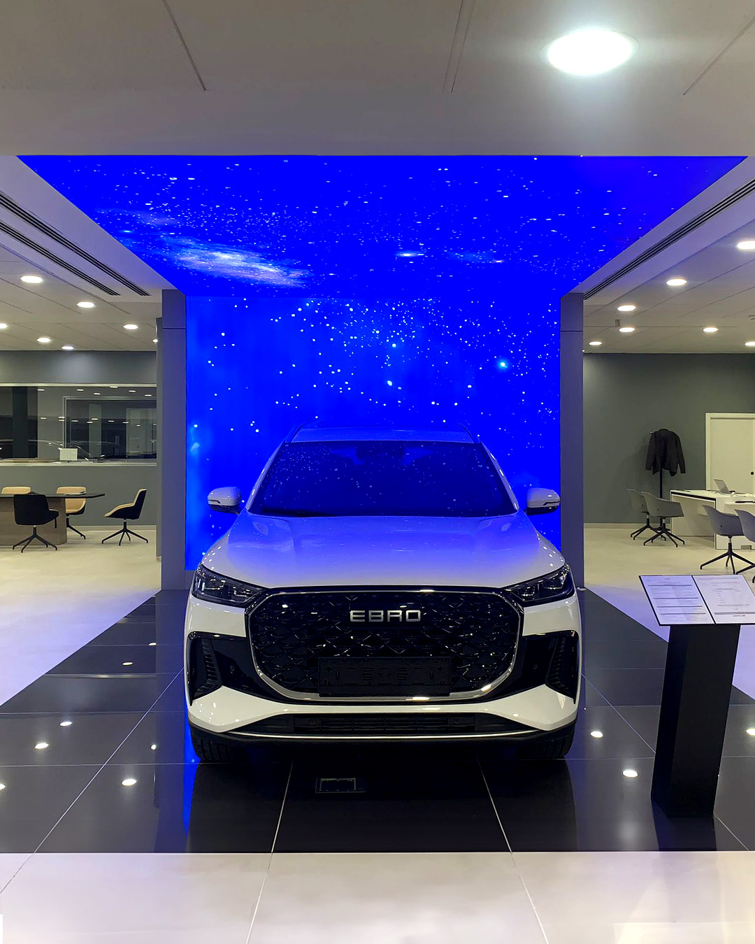 Galería en miniatura