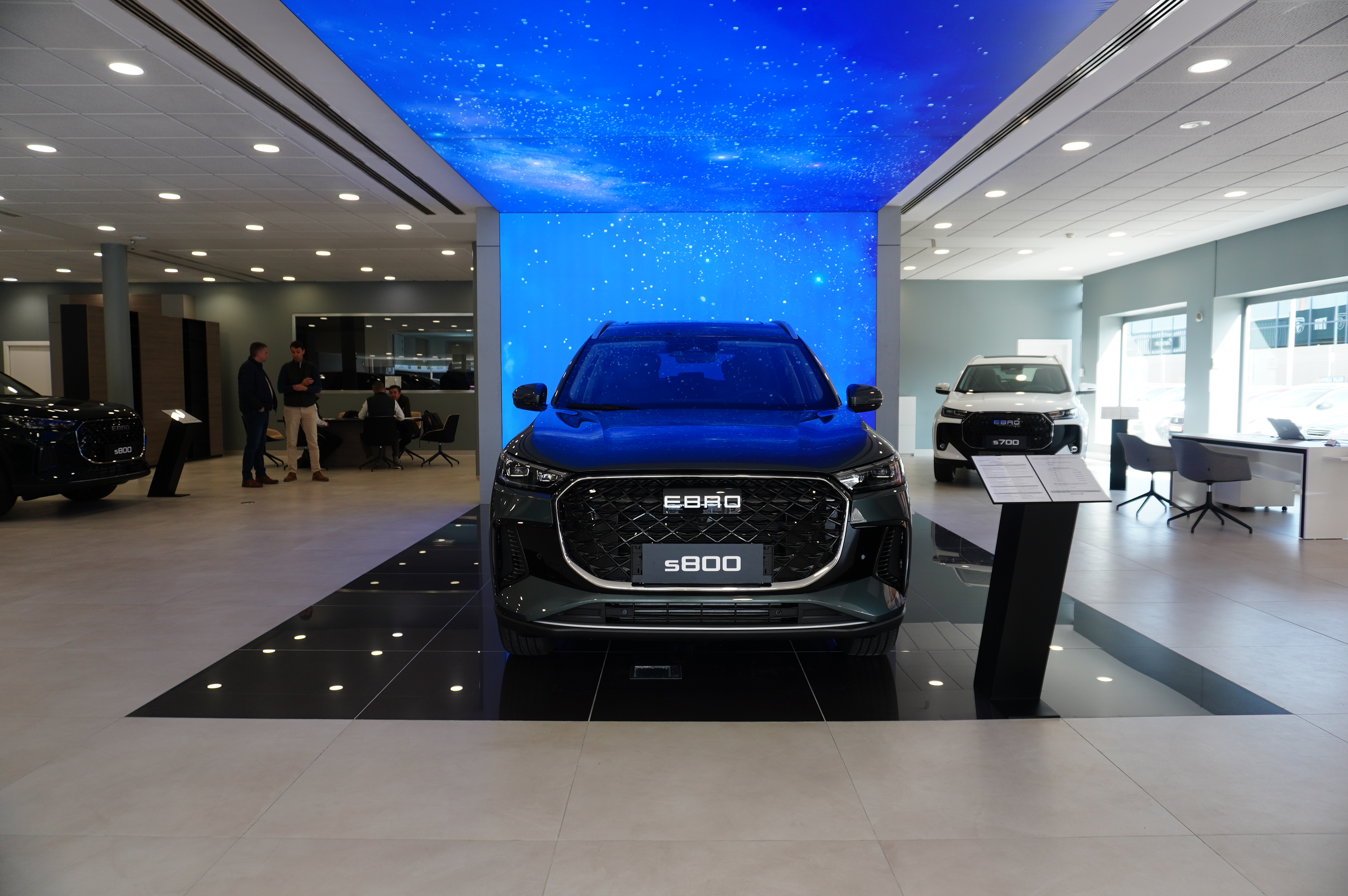 Galería en miniatura