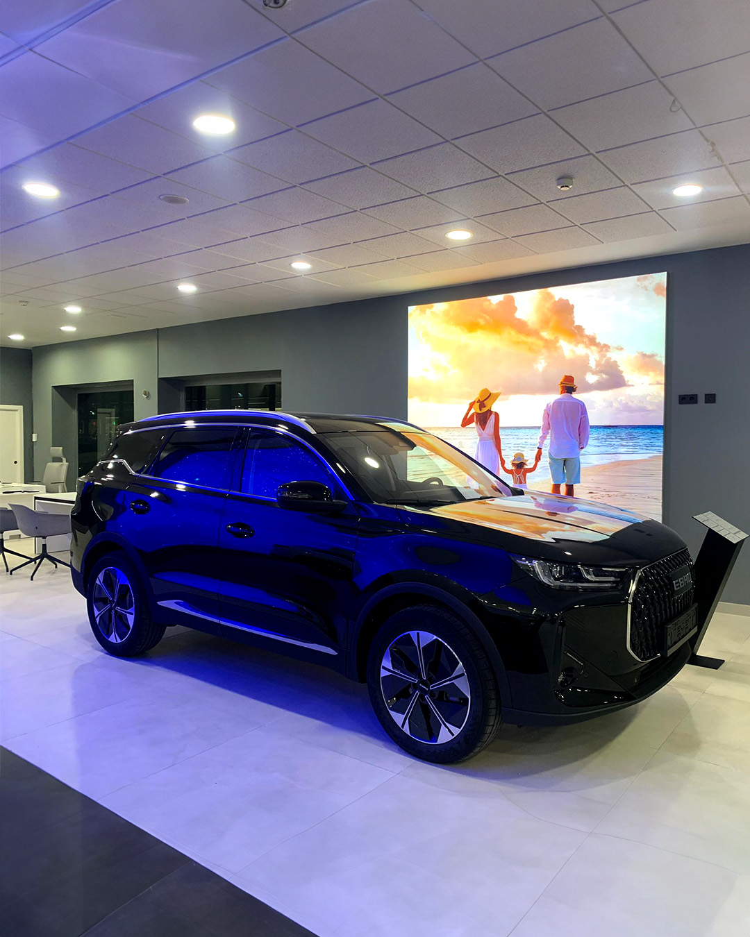 Galería en miniatura