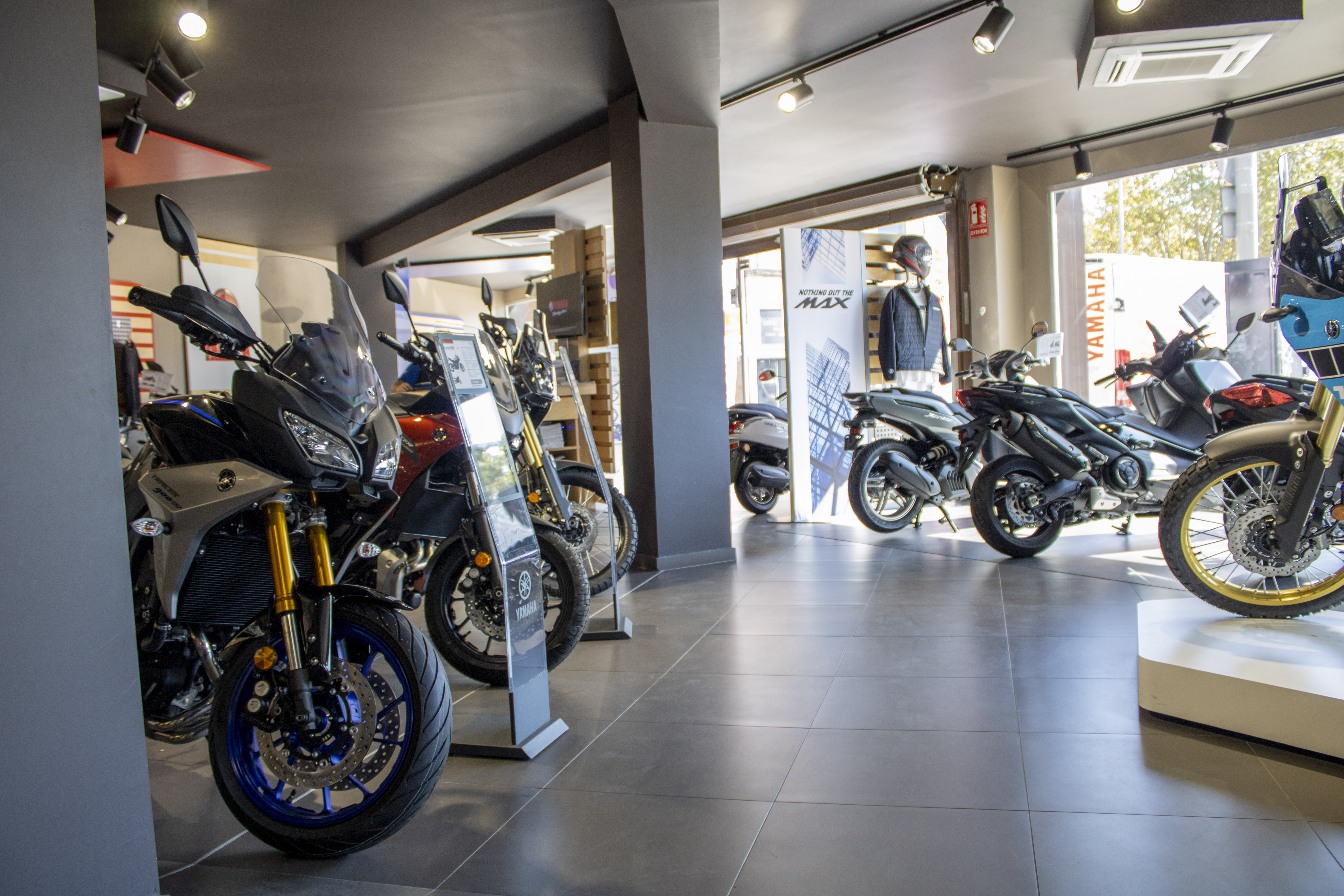 Galería en miniatura