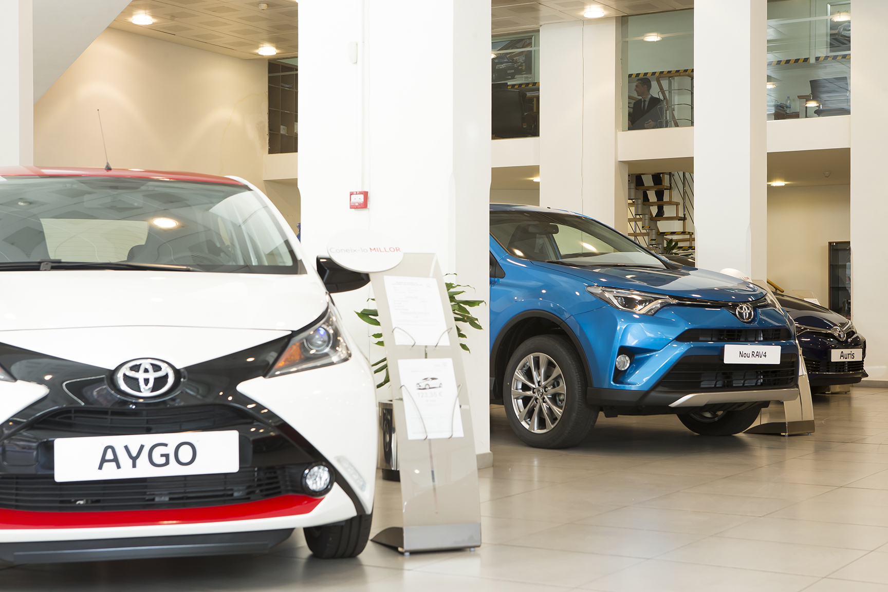 Galería en miniatura