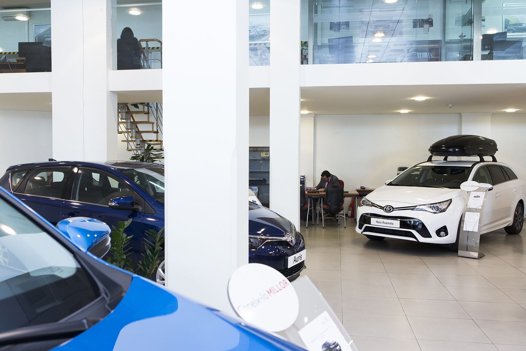 Galería en miniatura