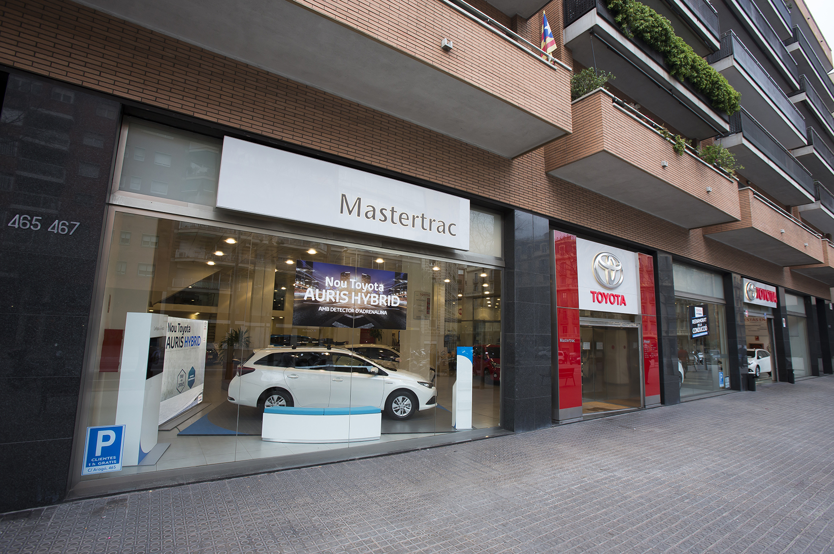 Galería en miniatura