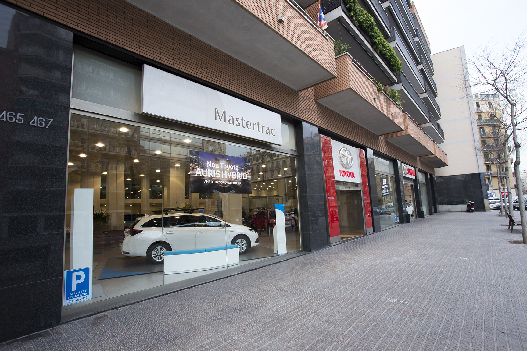 Galería en miniatura