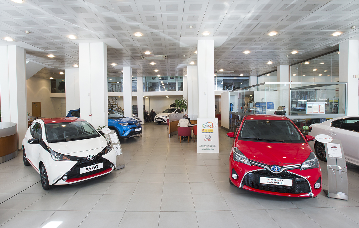 Galería en miniatura