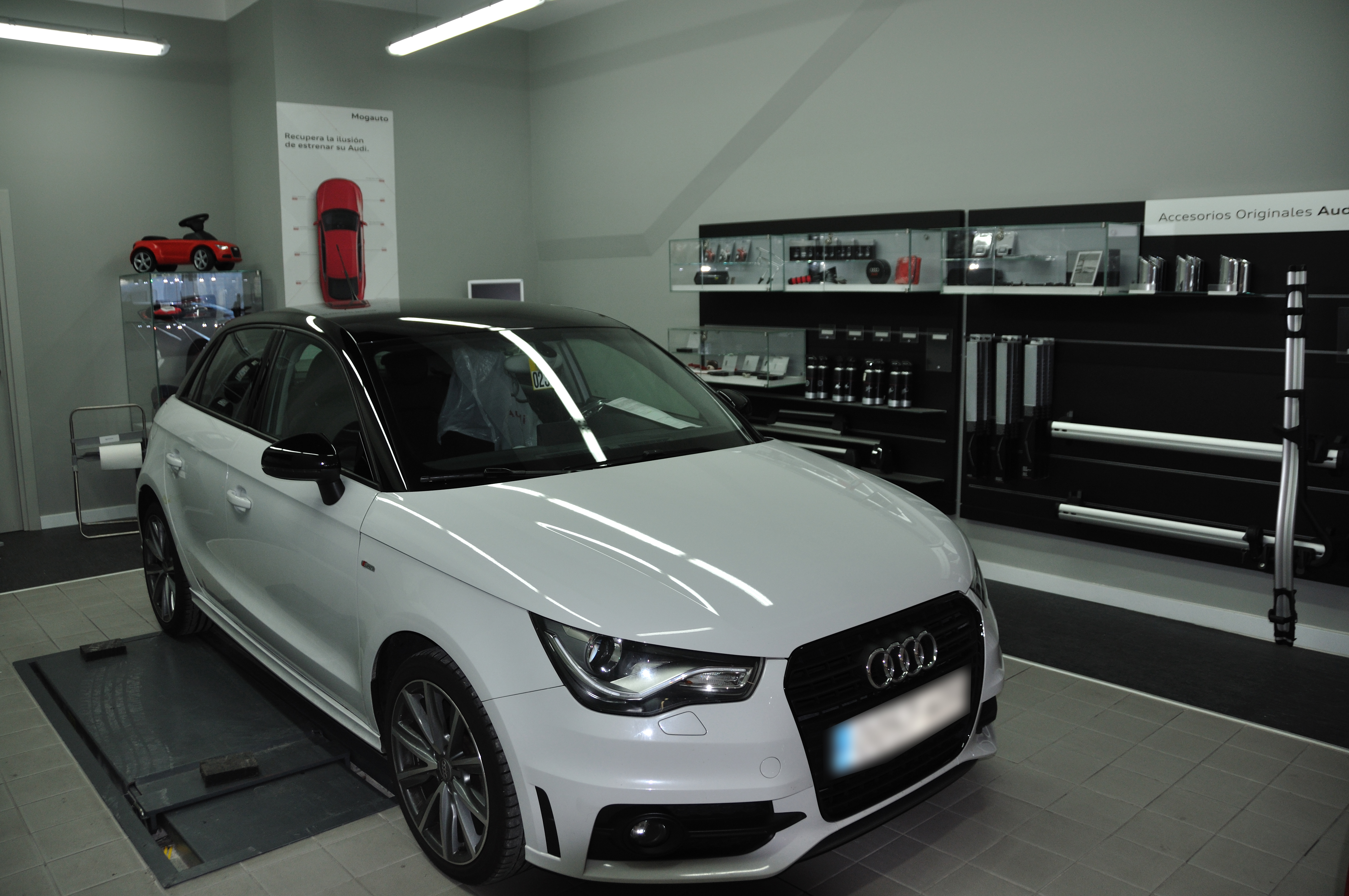 Galería en miniatura