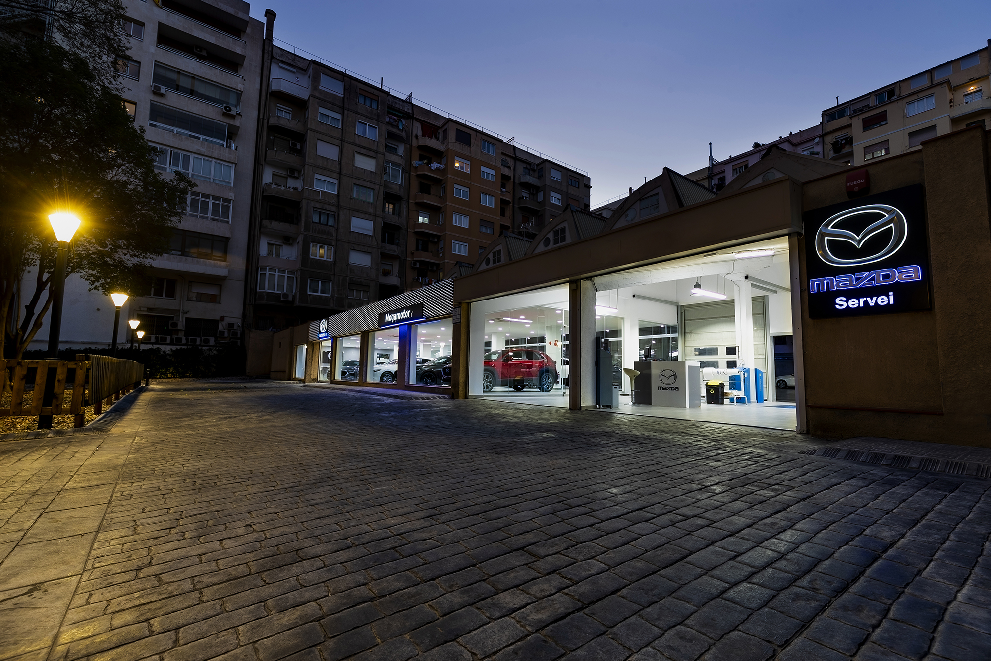 Galería en miniatura