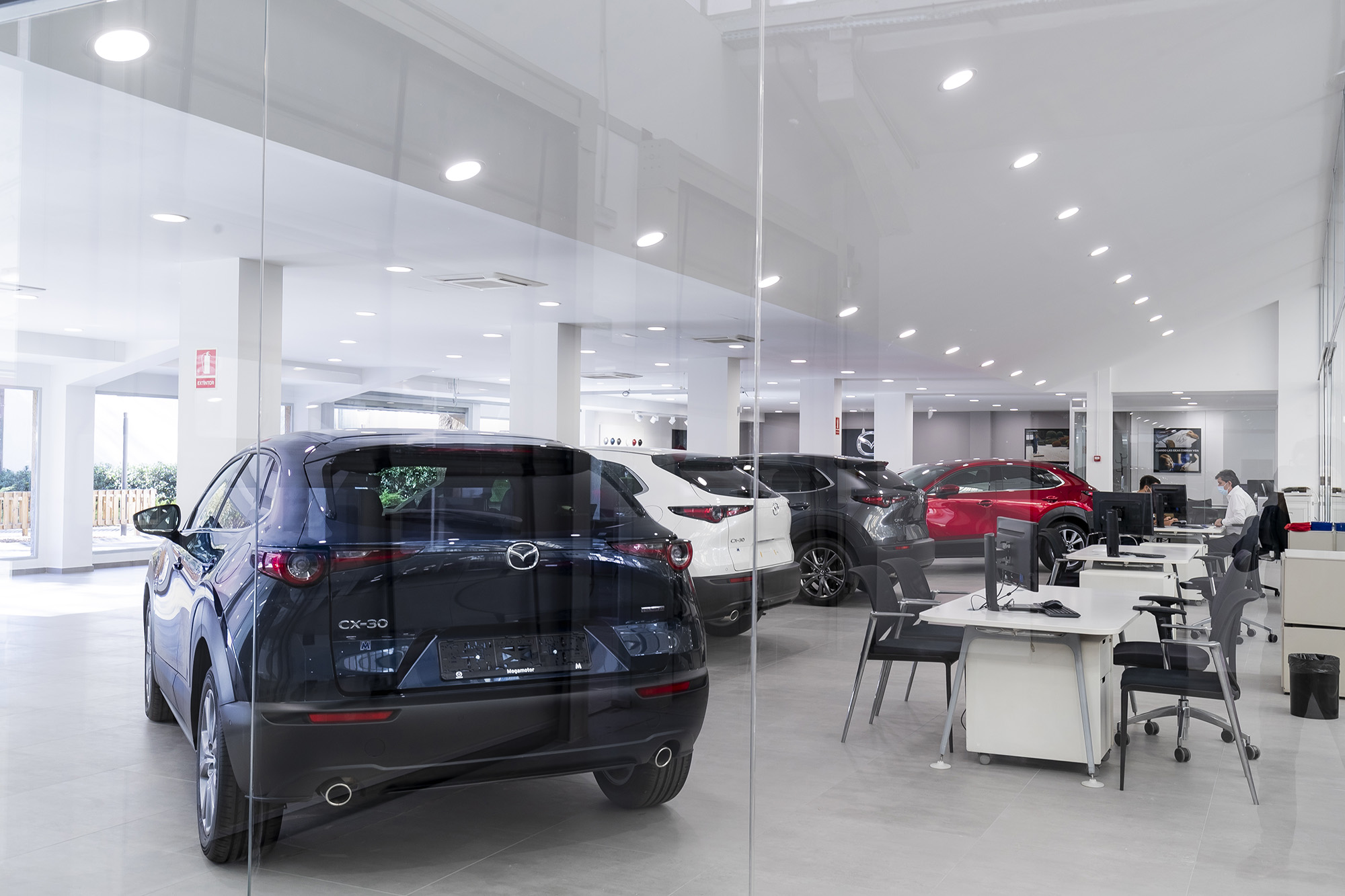 Galería en miniatura