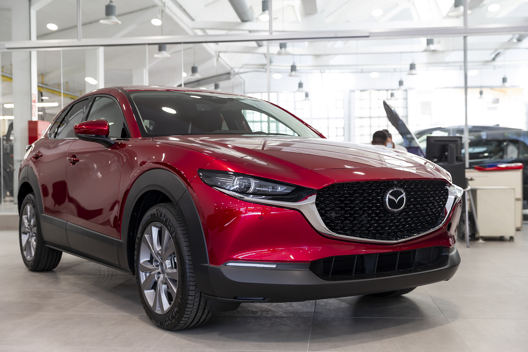 Galería en miniatura