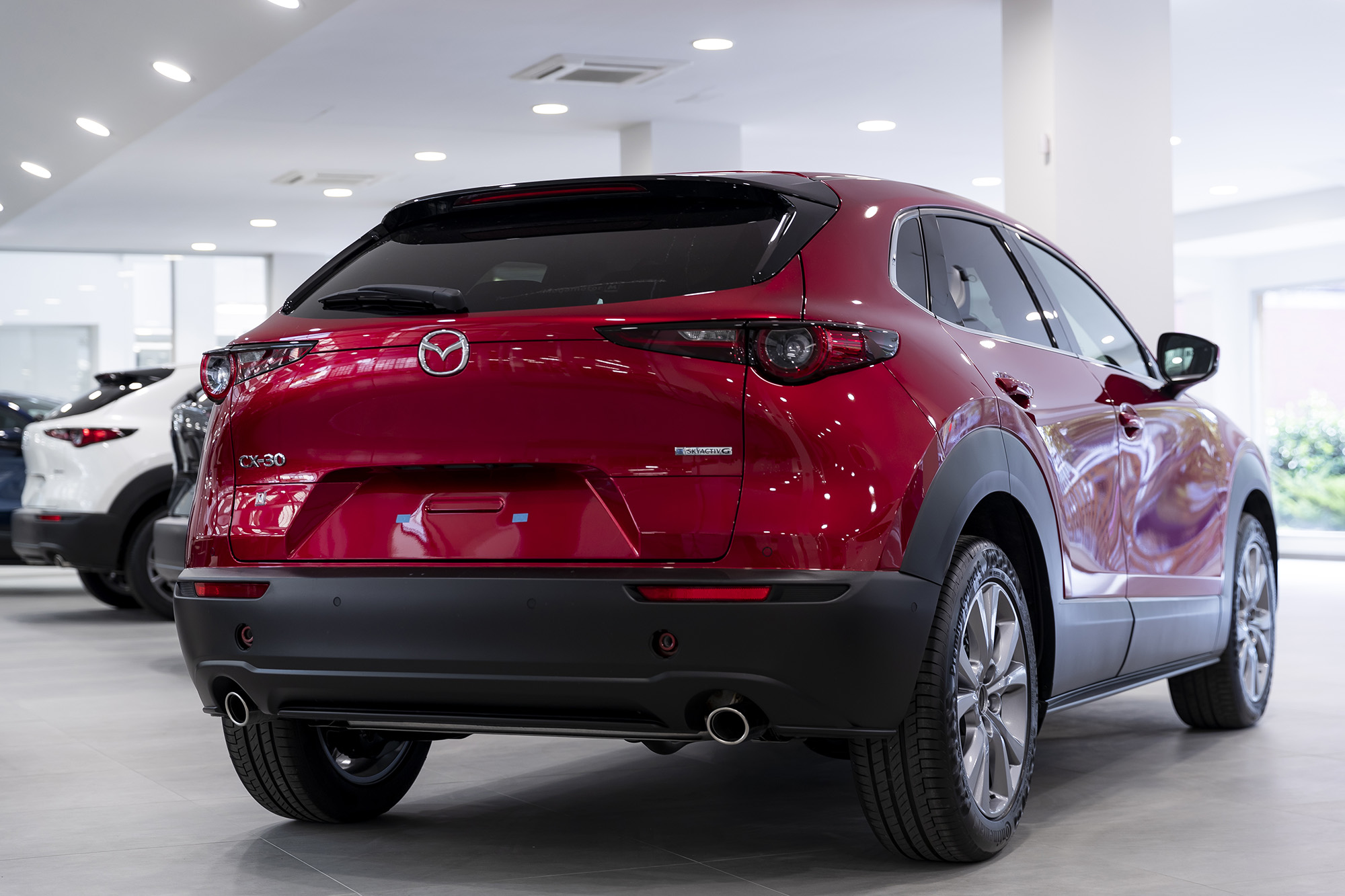 Galería en miniatura