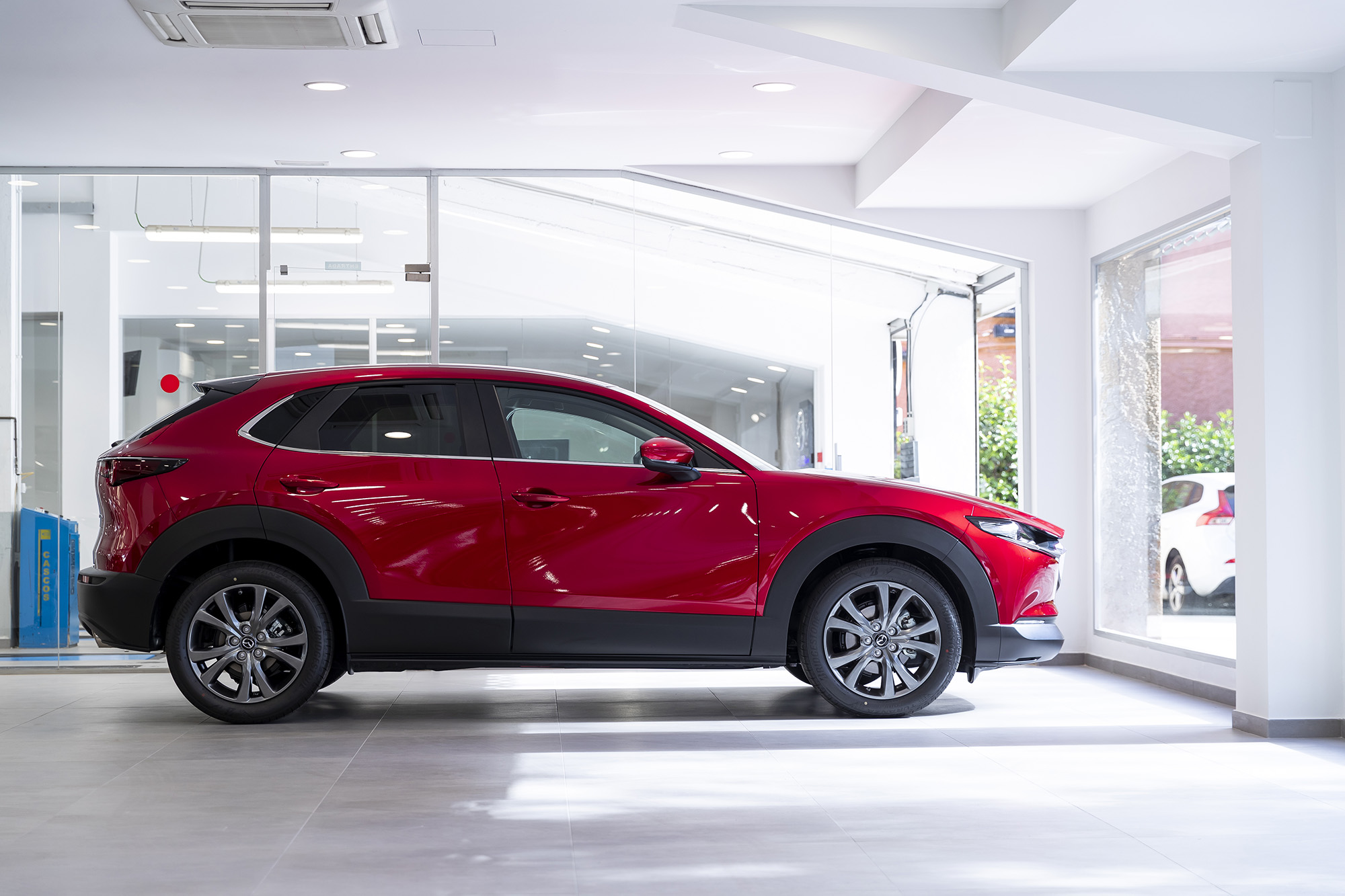 Galería en miniatura