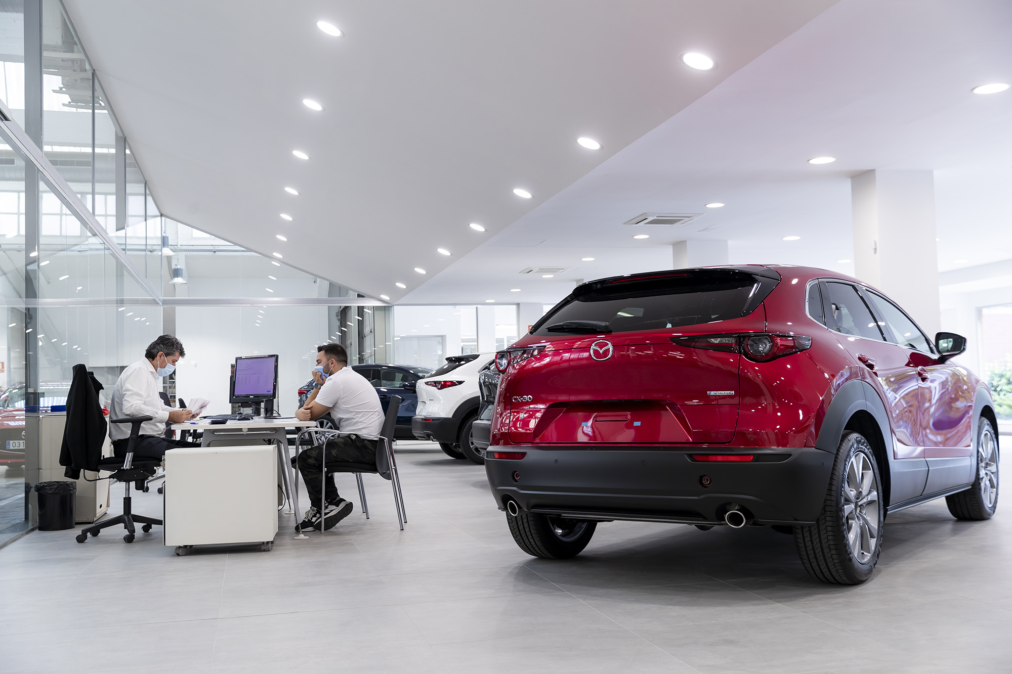 Galería en miniatura