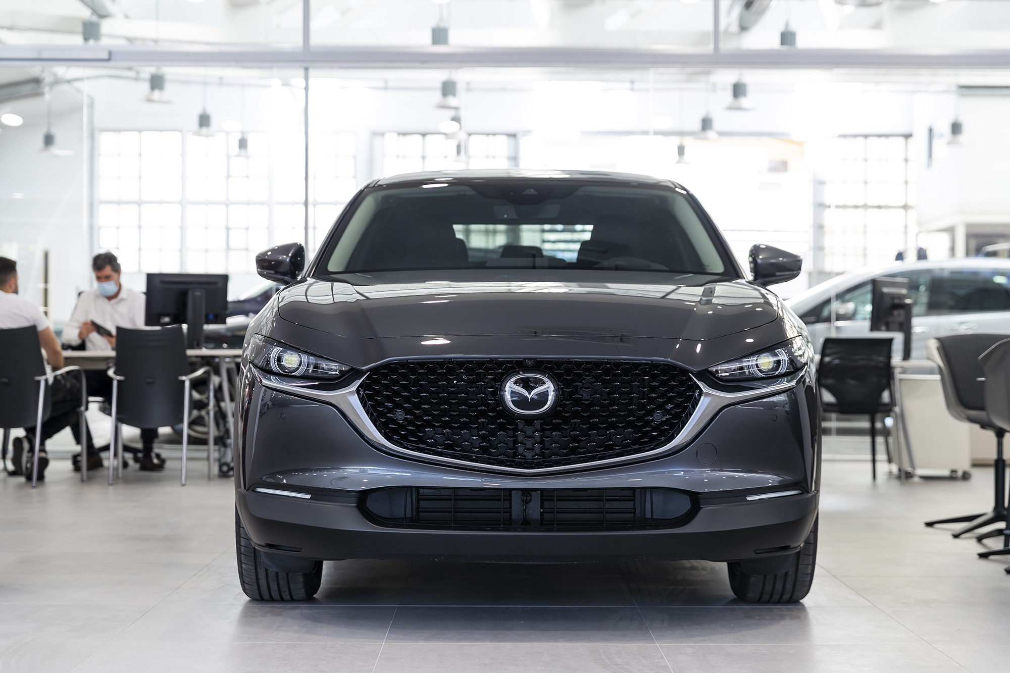 Galería en miniatura