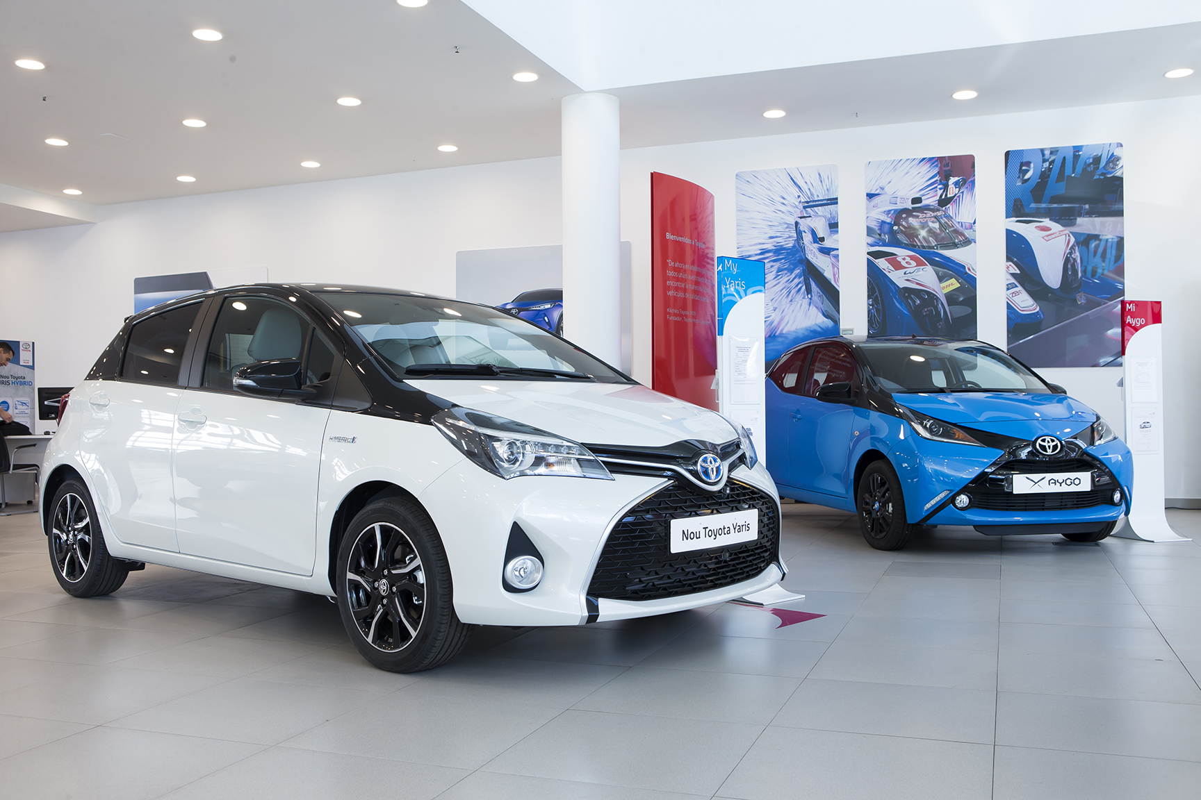 Galería en miniatura