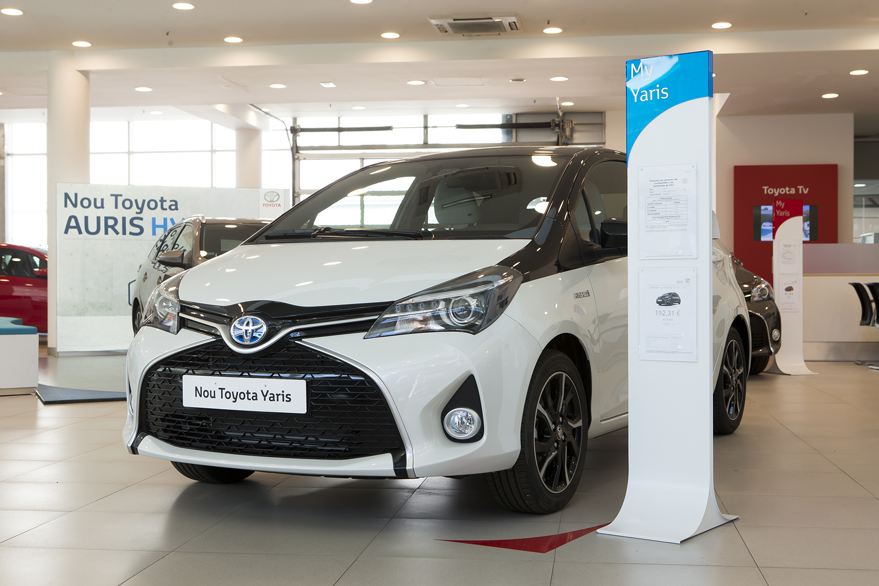 Galería en miniatura