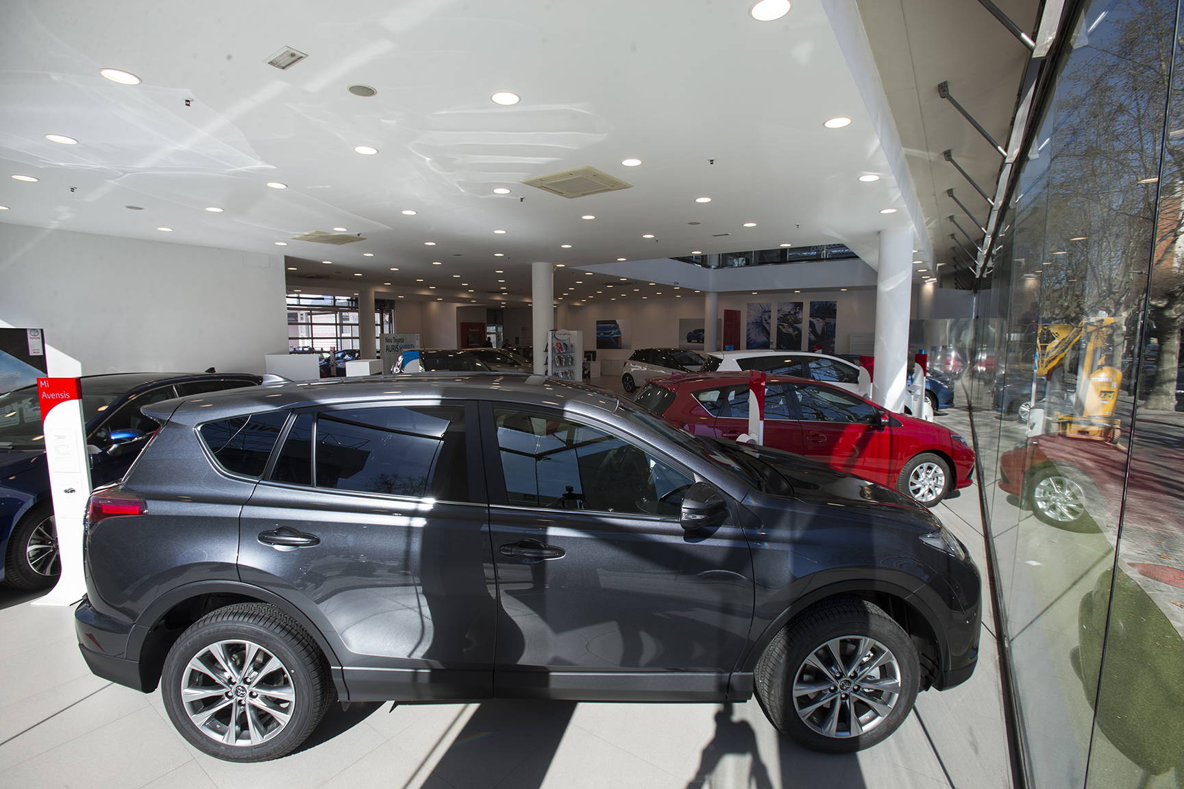 Galería en miniatura