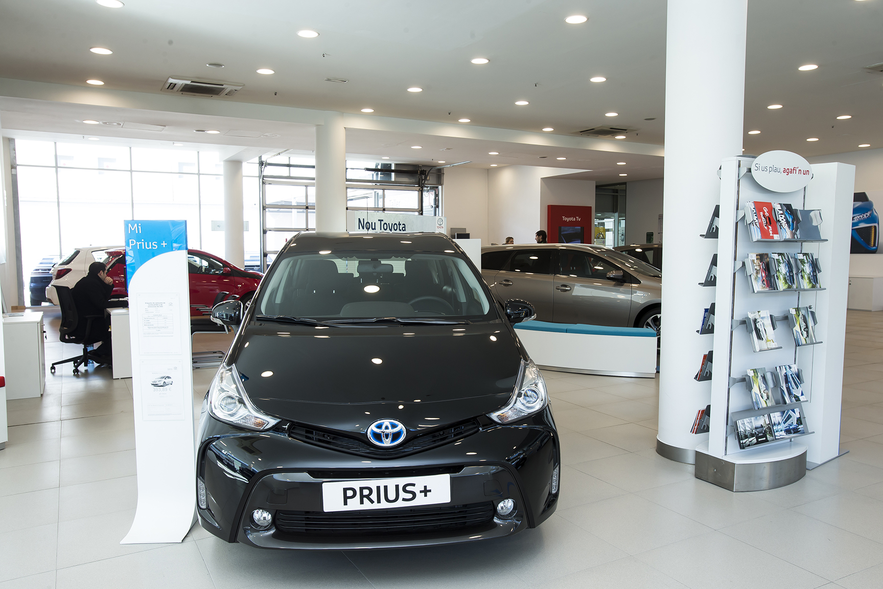 Galería en miniatura