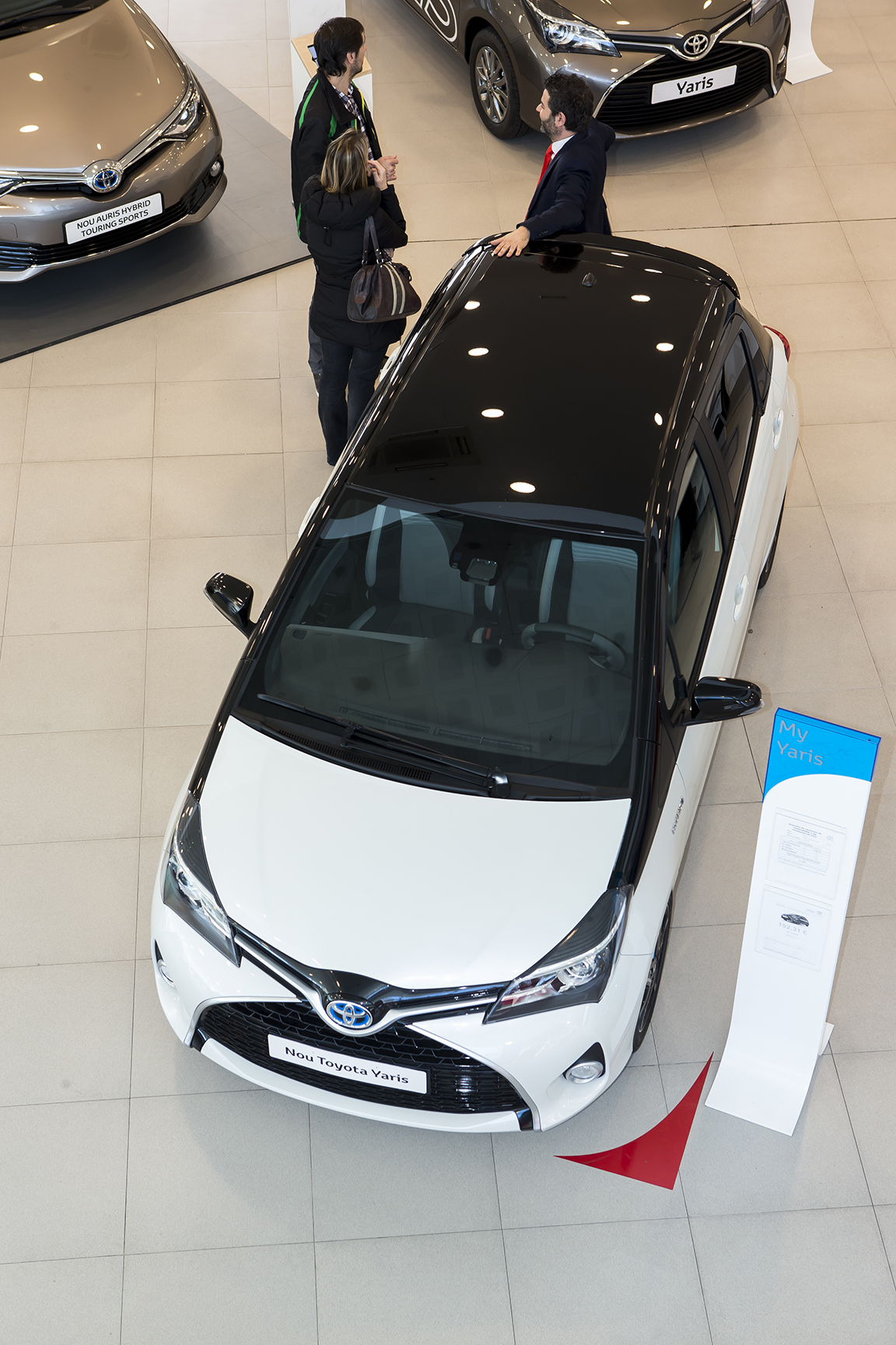 Galería en miniatura