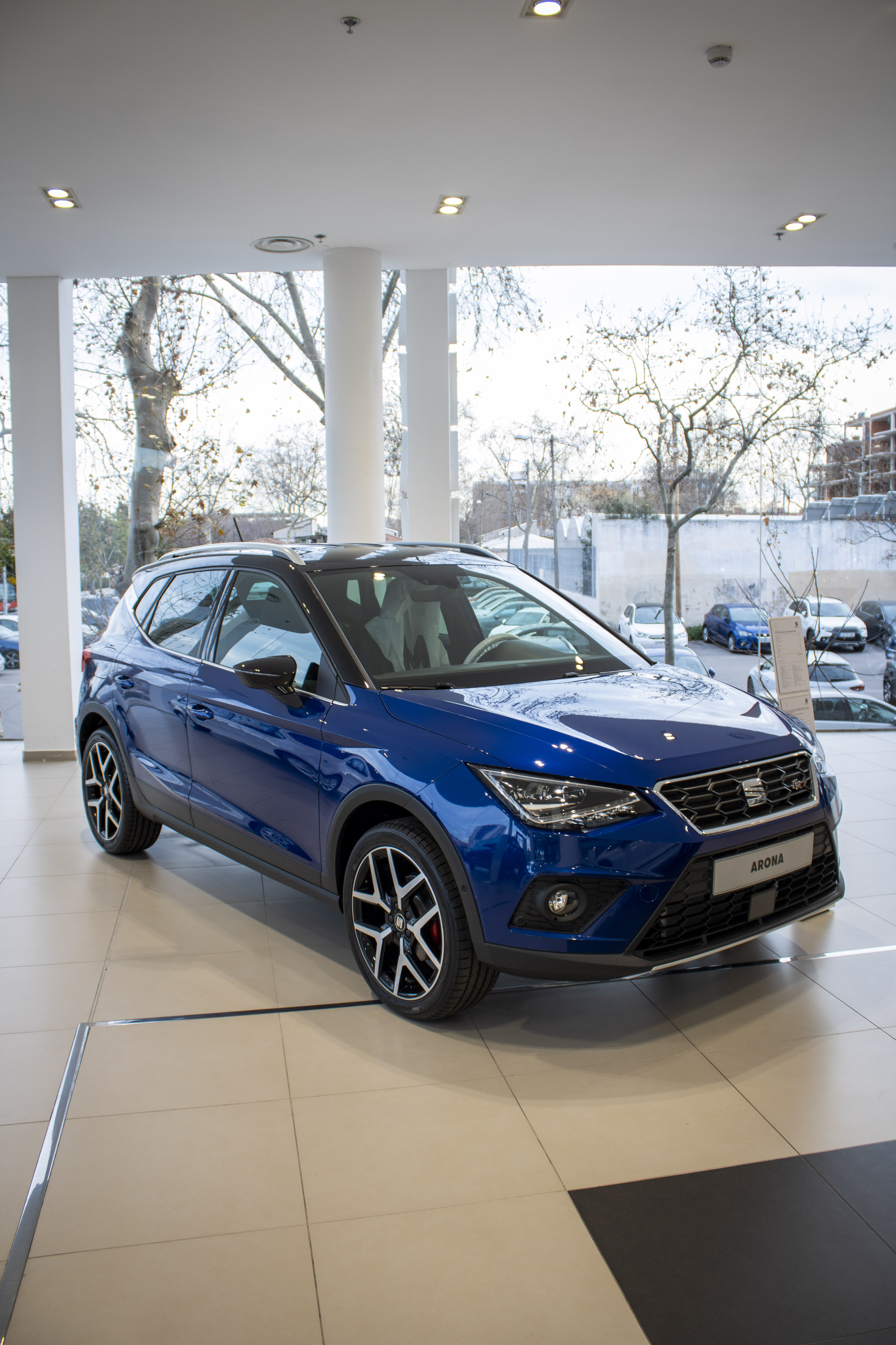 Galería en miniatura