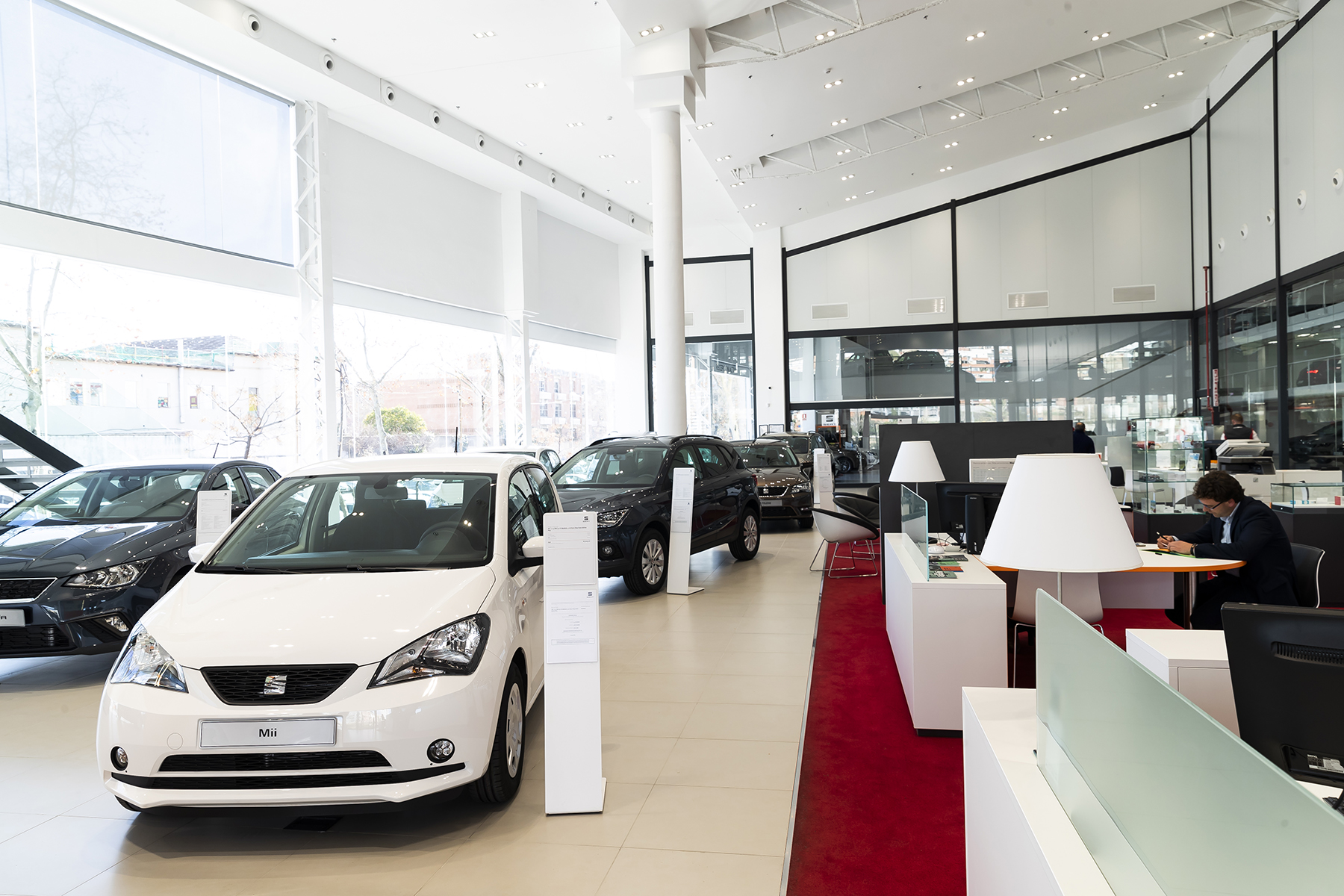 Galería en miniatura