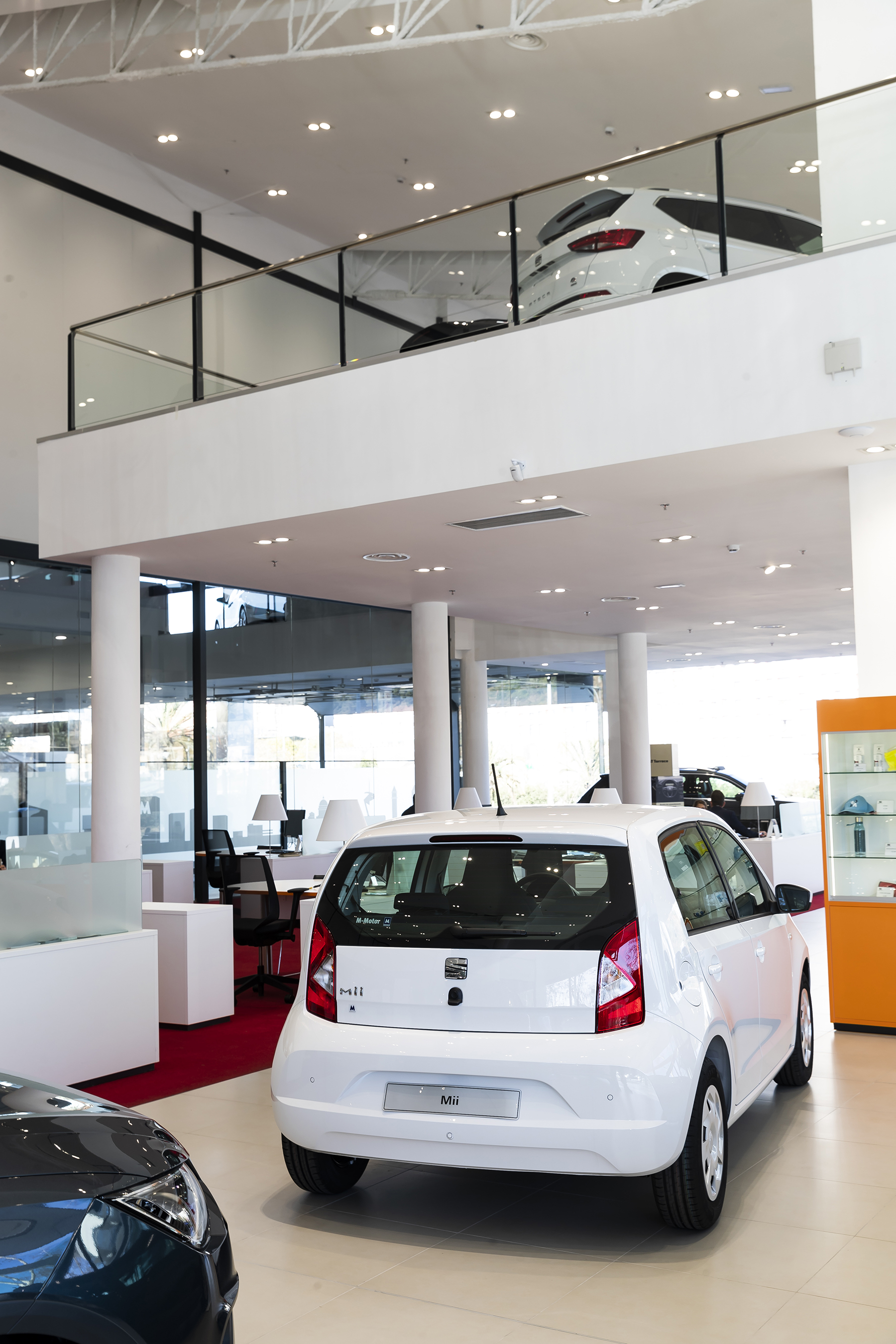 Galería en miniatura