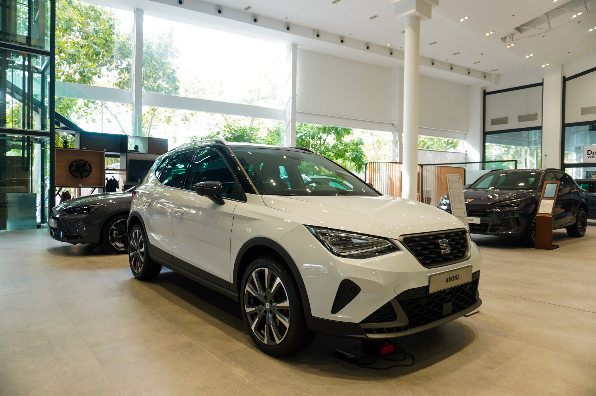 Galería en miniatura