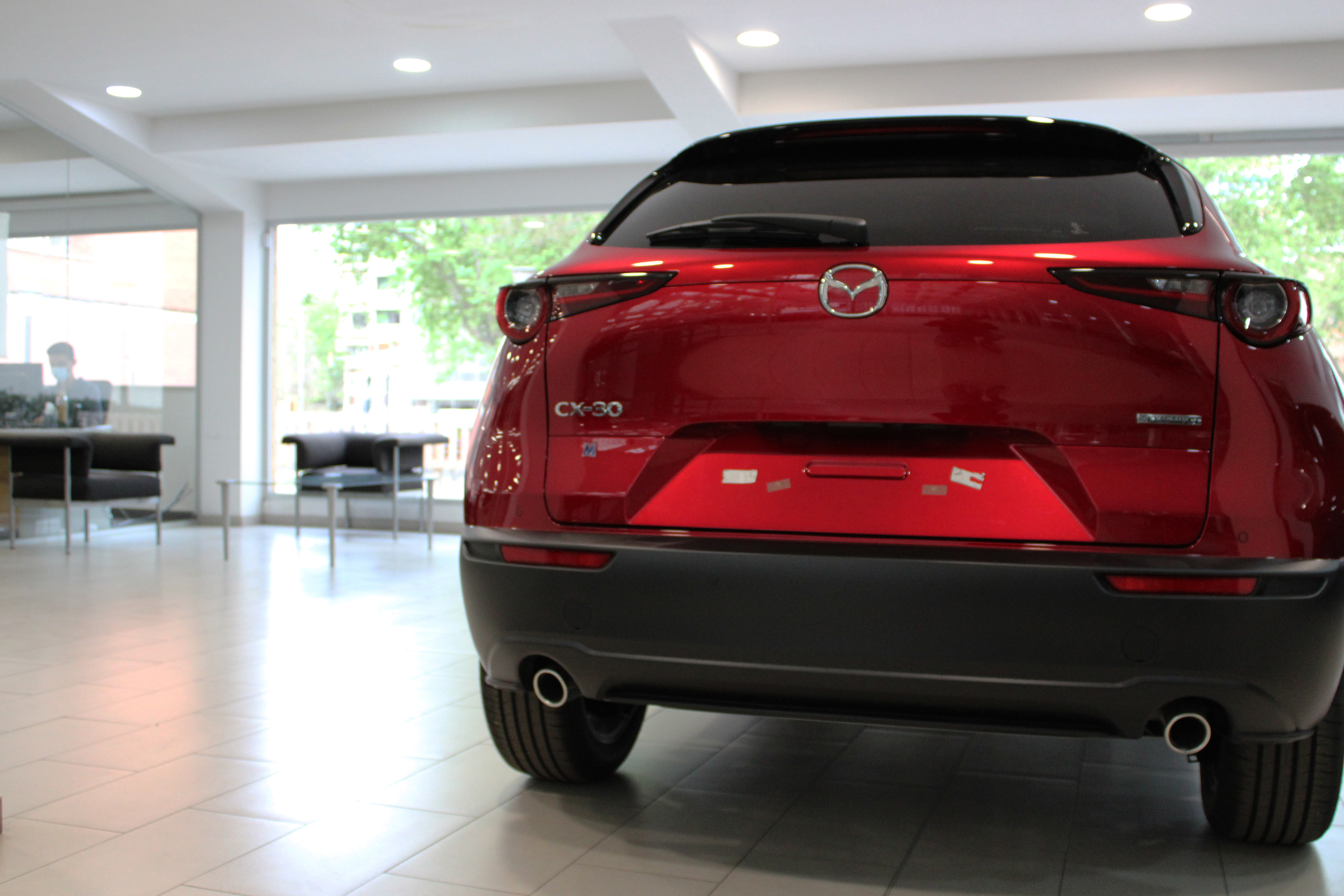 Galería en miniatura