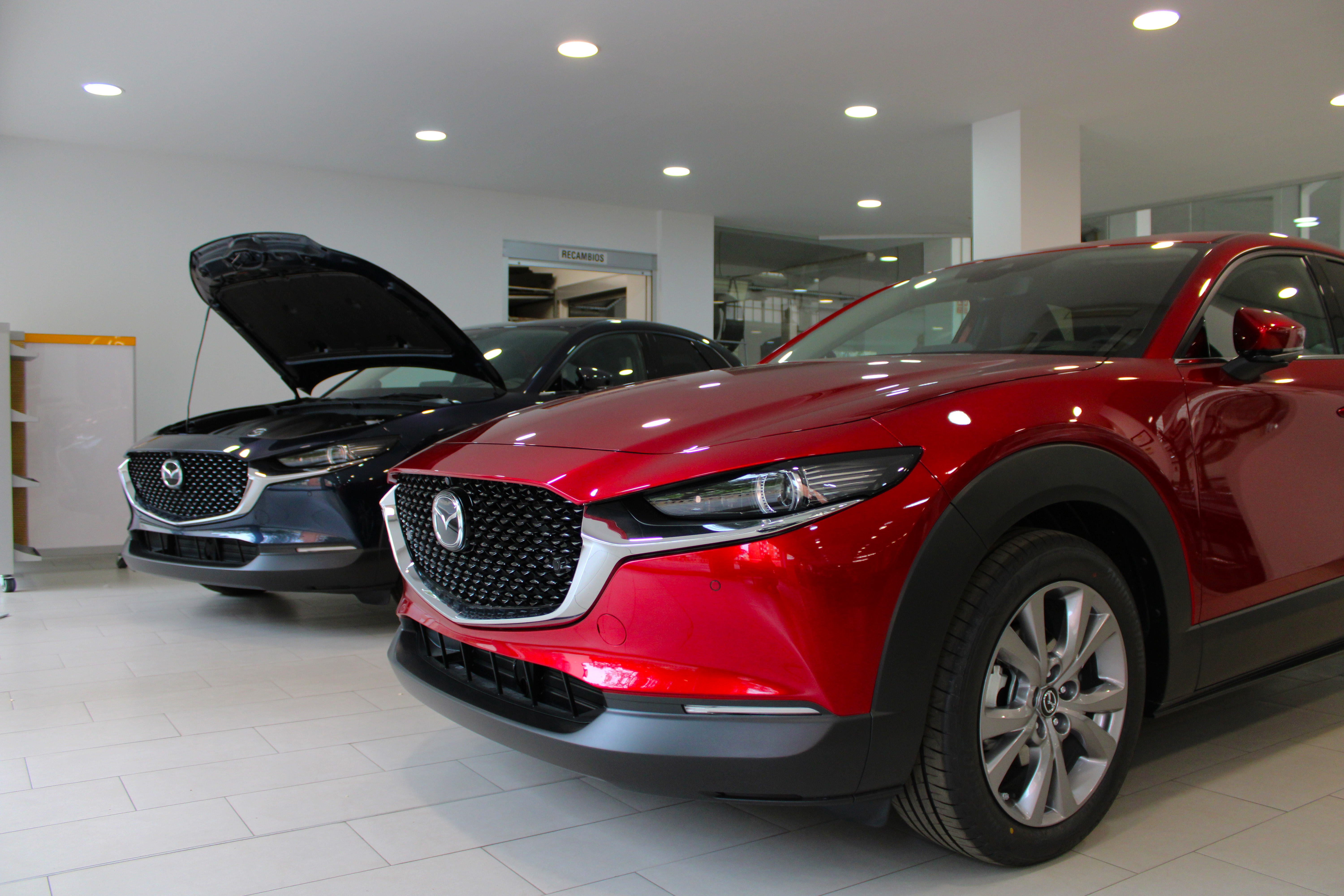 Galería en miniatura