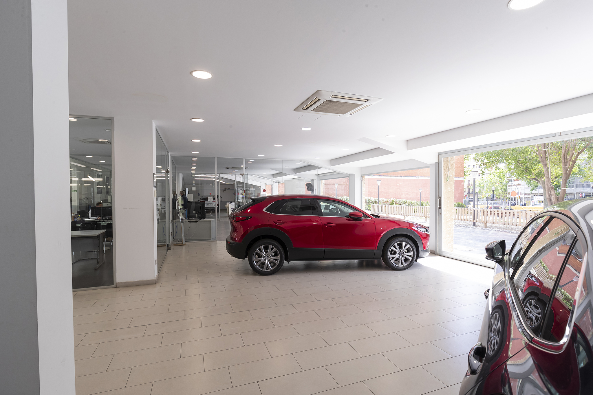 Galería en miniatura